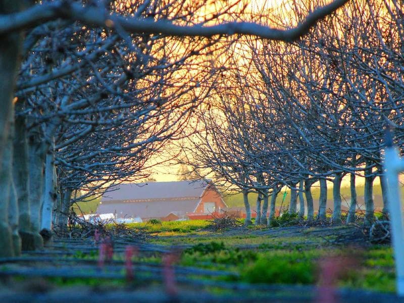 Équipe ChainSolutions